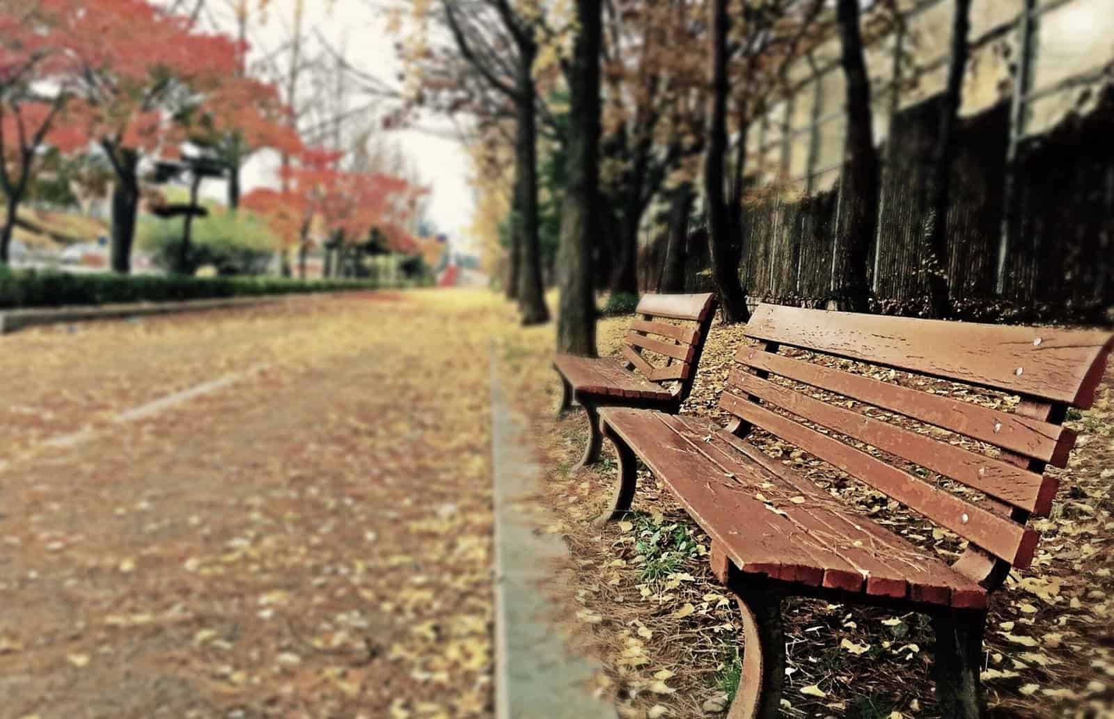 Relaxing bench in park, offering peace of mind through clinical trials insurance